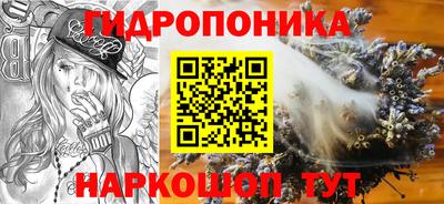 Альфа ПВП Можга