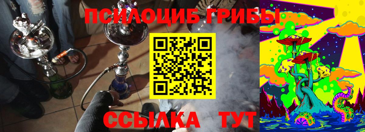Псилоцибиновые грибы Psilocybine cubensis  Вход с VPN  Галлюциногенные грибы Magic Shrooms  Чайковский 